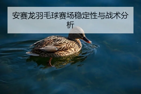 安赛龙羽毛球赛场稳定性与战术分析